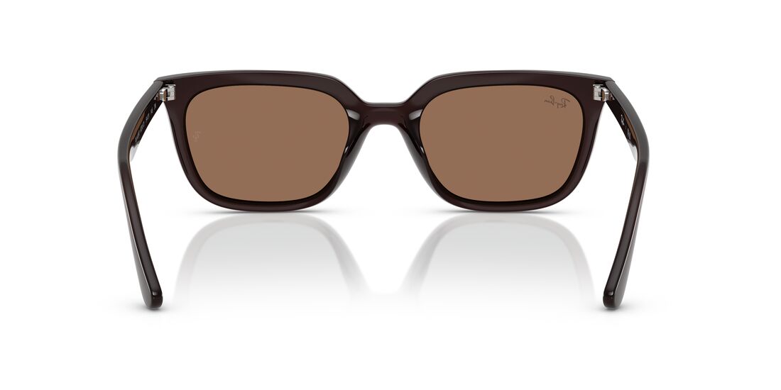 Ray-Ban 0RB4439D   Ray-Ban 0RB4439D