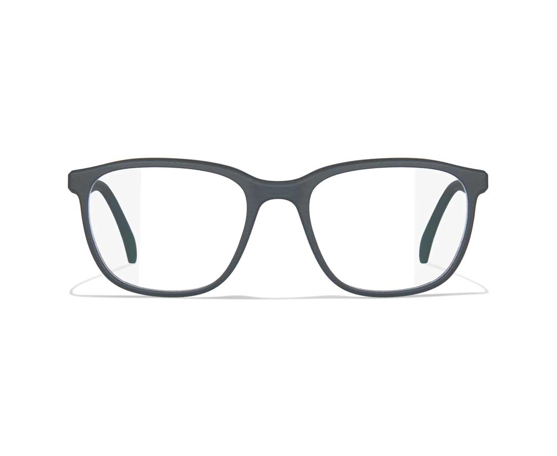 FR!TZ EYEWEAR 916 cover