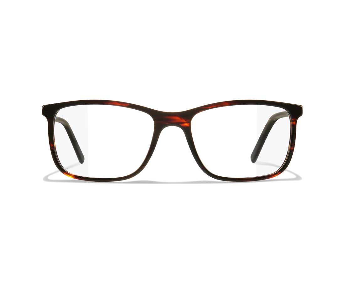FR!TZ EYEWEAR 2113