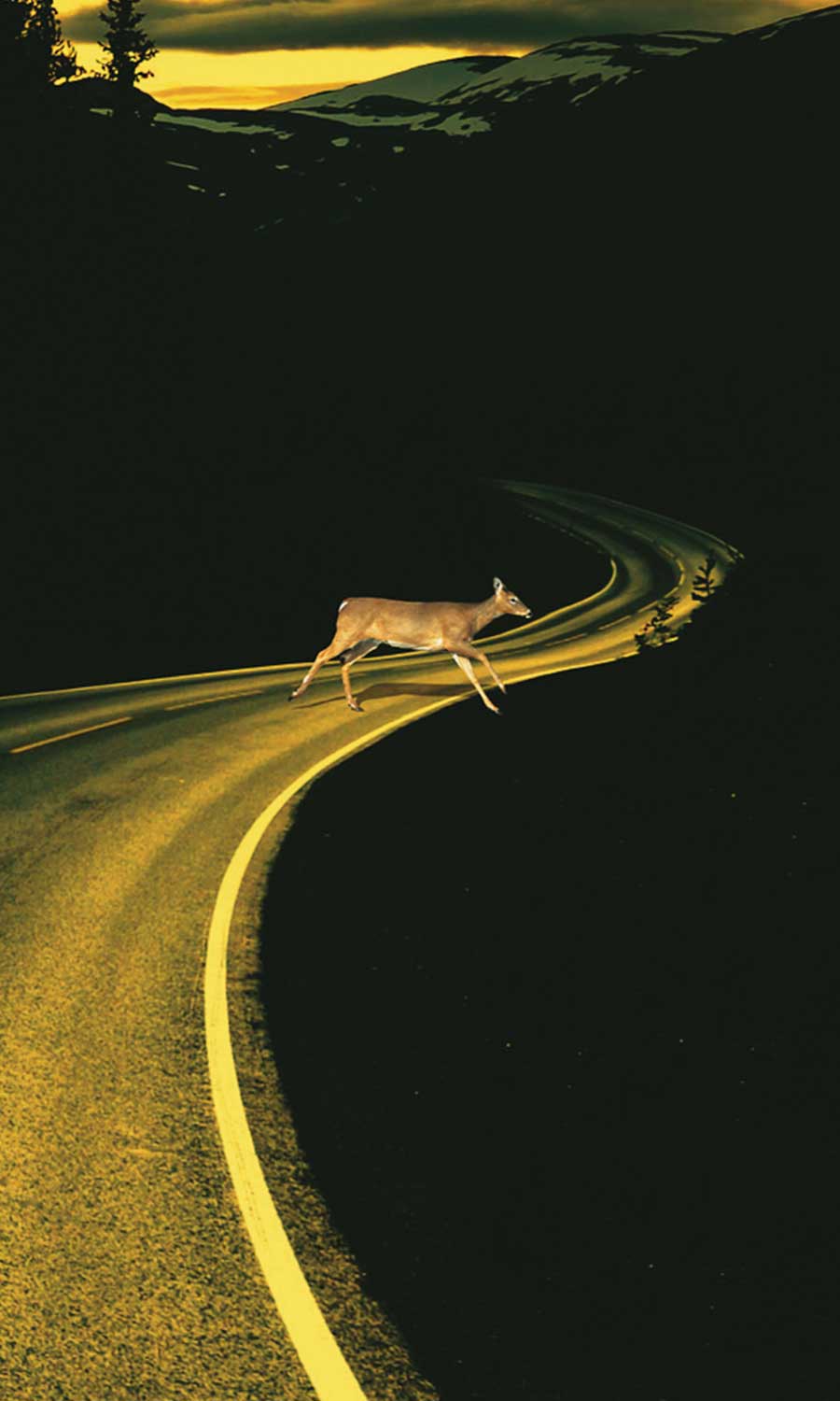 Auotfahrbrille beim fahren 