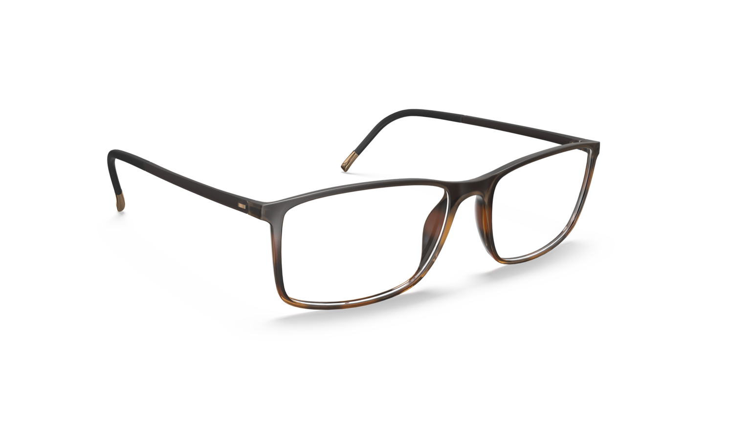 Silhouette 2934 Silhouette 2934