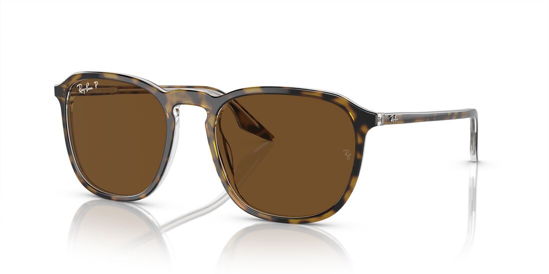 Ray-Ban 0RB2203   cover