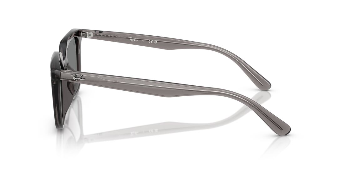 Ray-Ban 0RB4439D cover