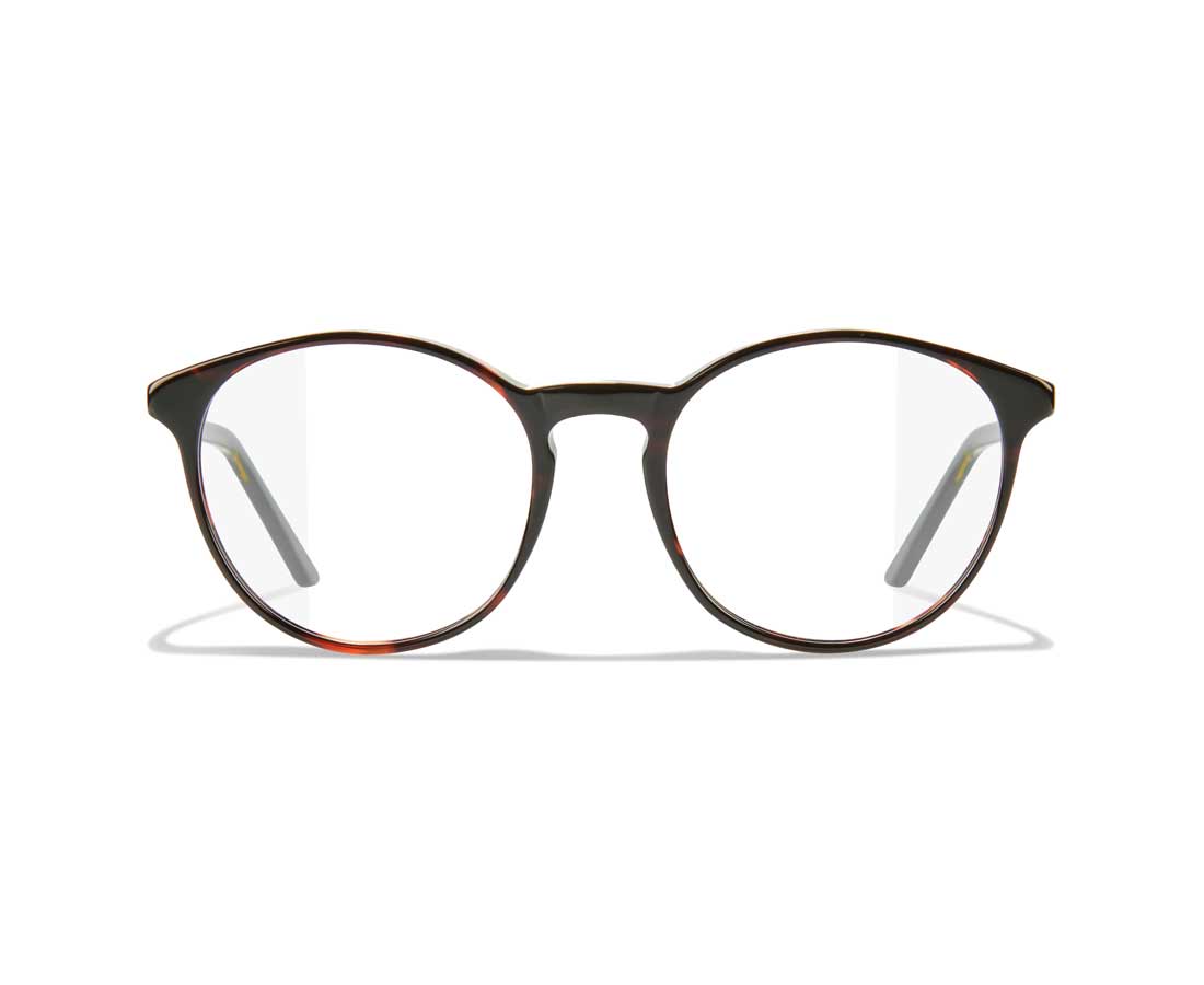 FR!TZ EYEWEAR 2110 cover