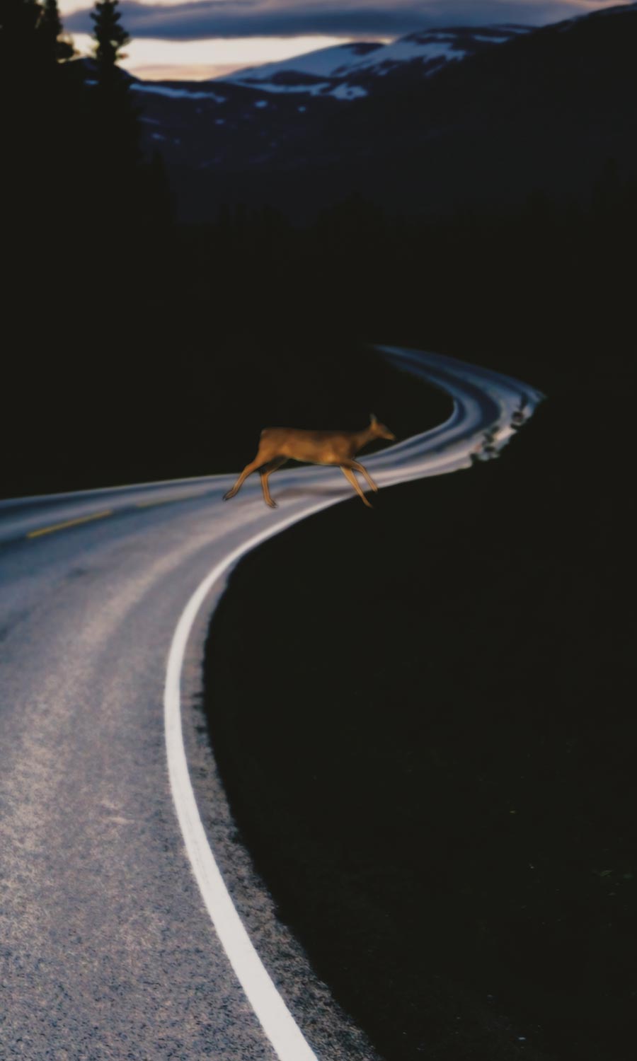 Auotfahrbrille beim fahren 